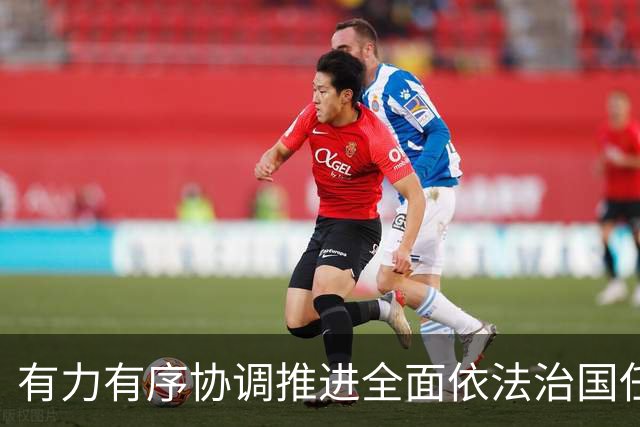有力有序协调推进全面依法治国任务落实（权威发布·开局起步“十五五”）